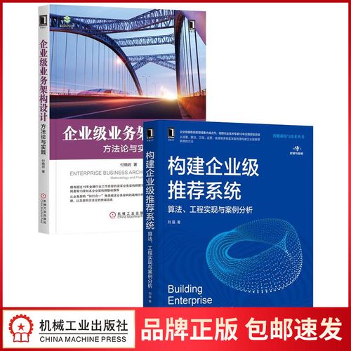 [套装书]构建企业级推荐系统:算法,工程实现与案例分析 企业级业务